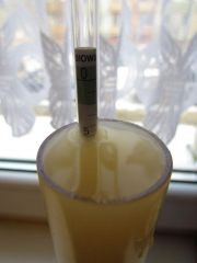 „Biały Ork” 20 dni fermentacji