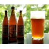 3 HOPS IPA - etykieta
