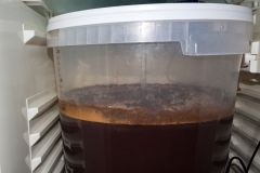 Porter Bałtycki #8 - fermentacja po 3 dniach
