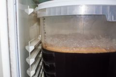 Porter Bałtycki #8 - fermentacja po 24h