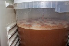 Marcowe #6 - 3 dzień fermentacji