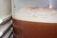 Marcowe #6 - fermentacja po 48h
