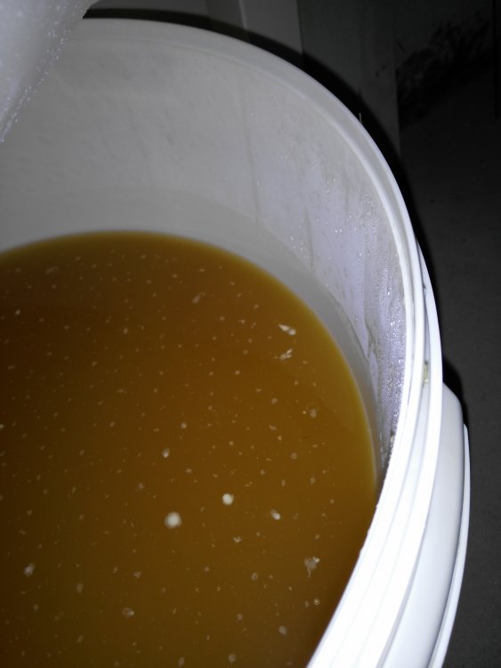 2017-09-13 21.12.36.jpg