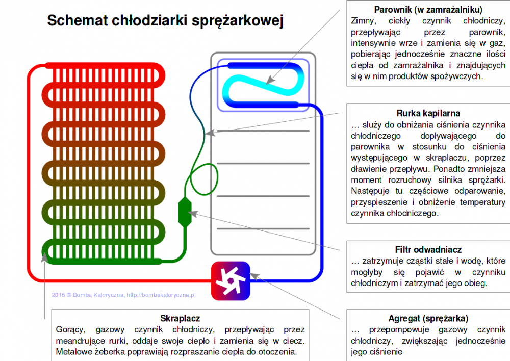 Schemat-chłodziarki-sprężarkowej.png