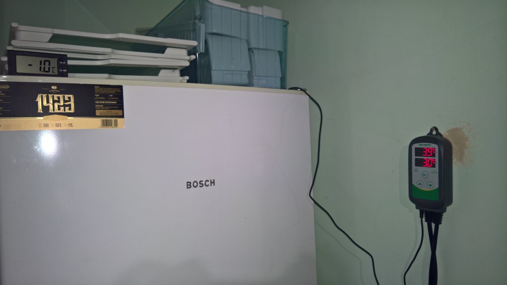 WP_20171004_17_08_31_Pro (1).jpg