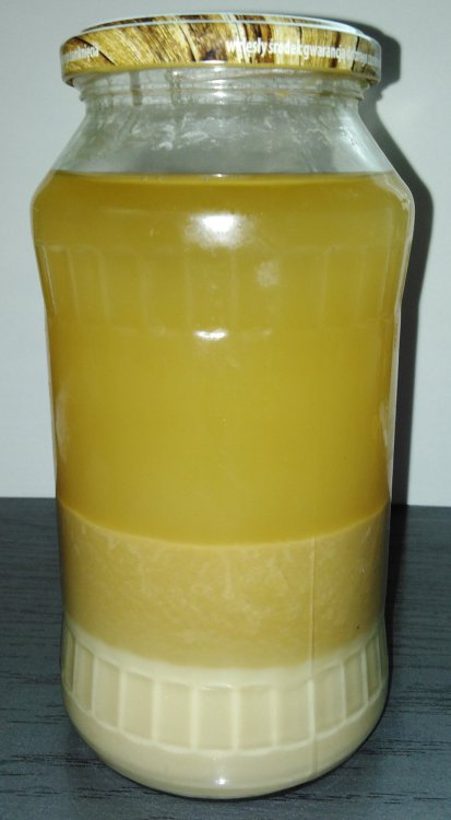 gęstwa drożdżowa.jpg