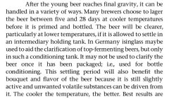German Wheat Beer - Eric Warner s.88