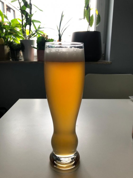 Witbier 2019.05.jpg