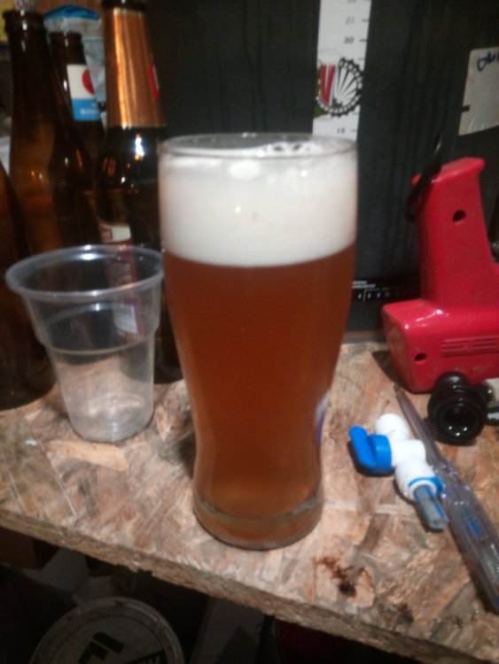 piwo lane przeciwcisnieniowo.jpg