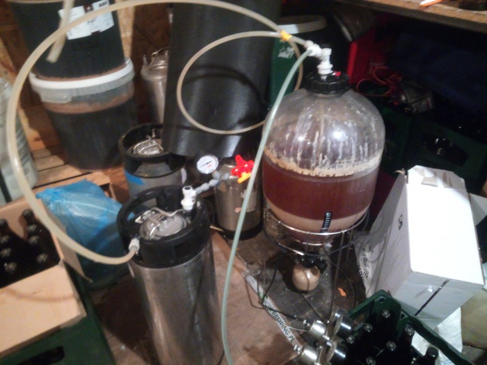 zlewanie przeciwciśnieniowe do kega.jpg