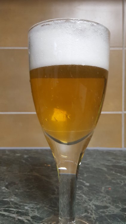 20230114_101714 — kopia.jpg