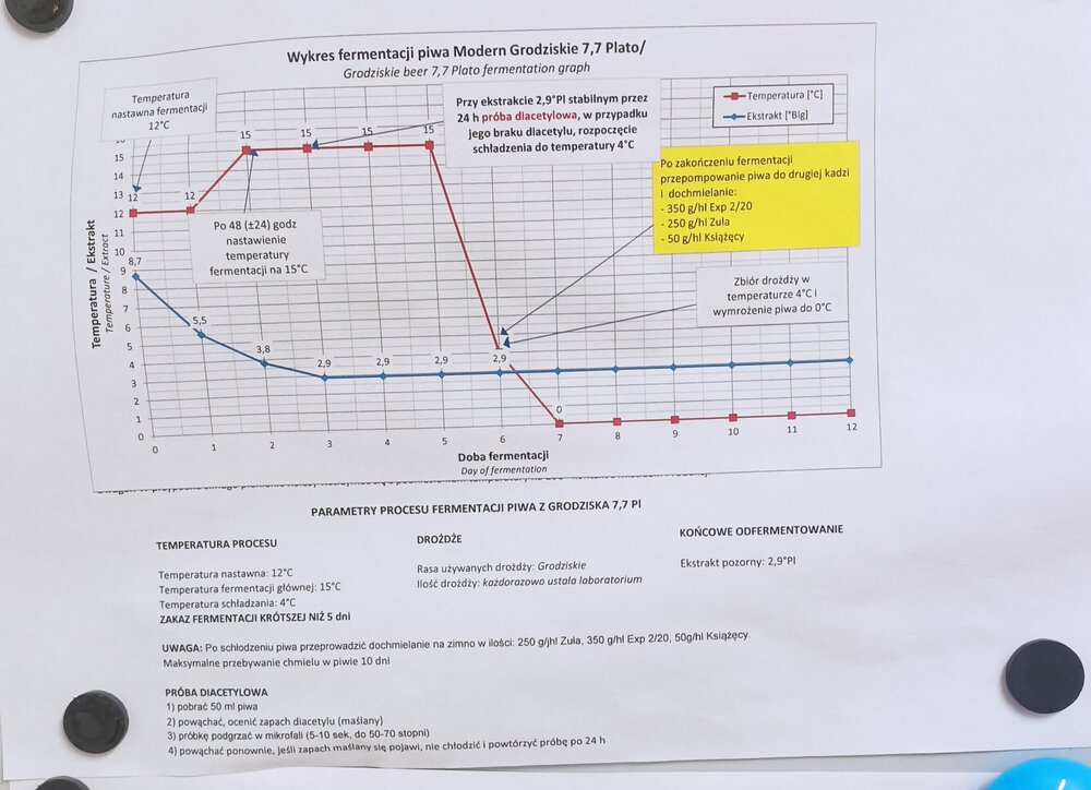 fermentacja modern grodziskie.jpg